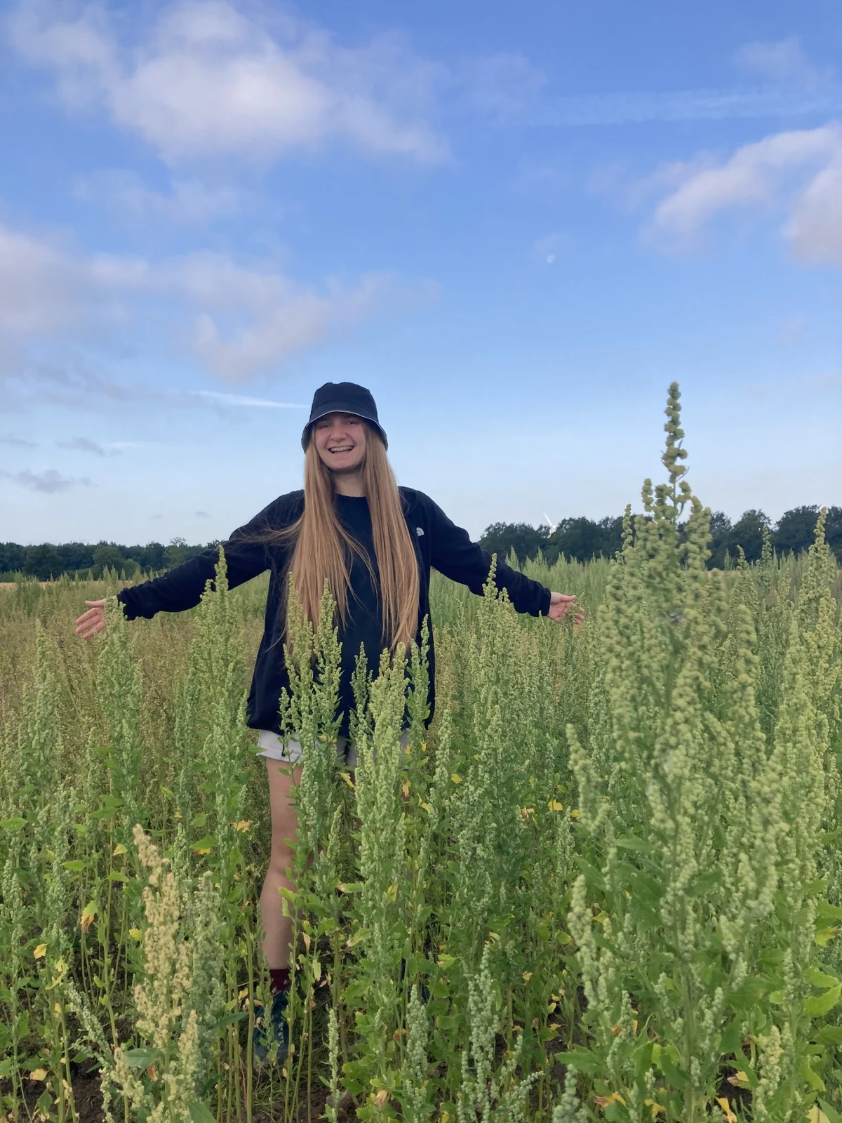 A group member standing among mature plants in a field trial