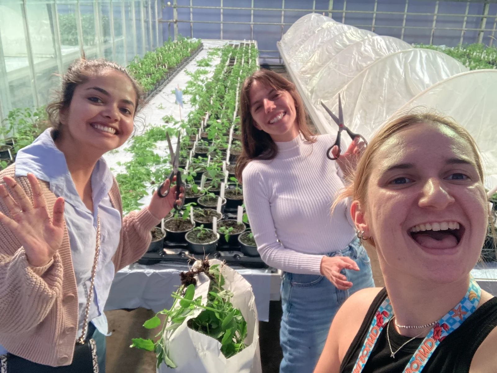 Group members sampling potted plants in the greenhouse