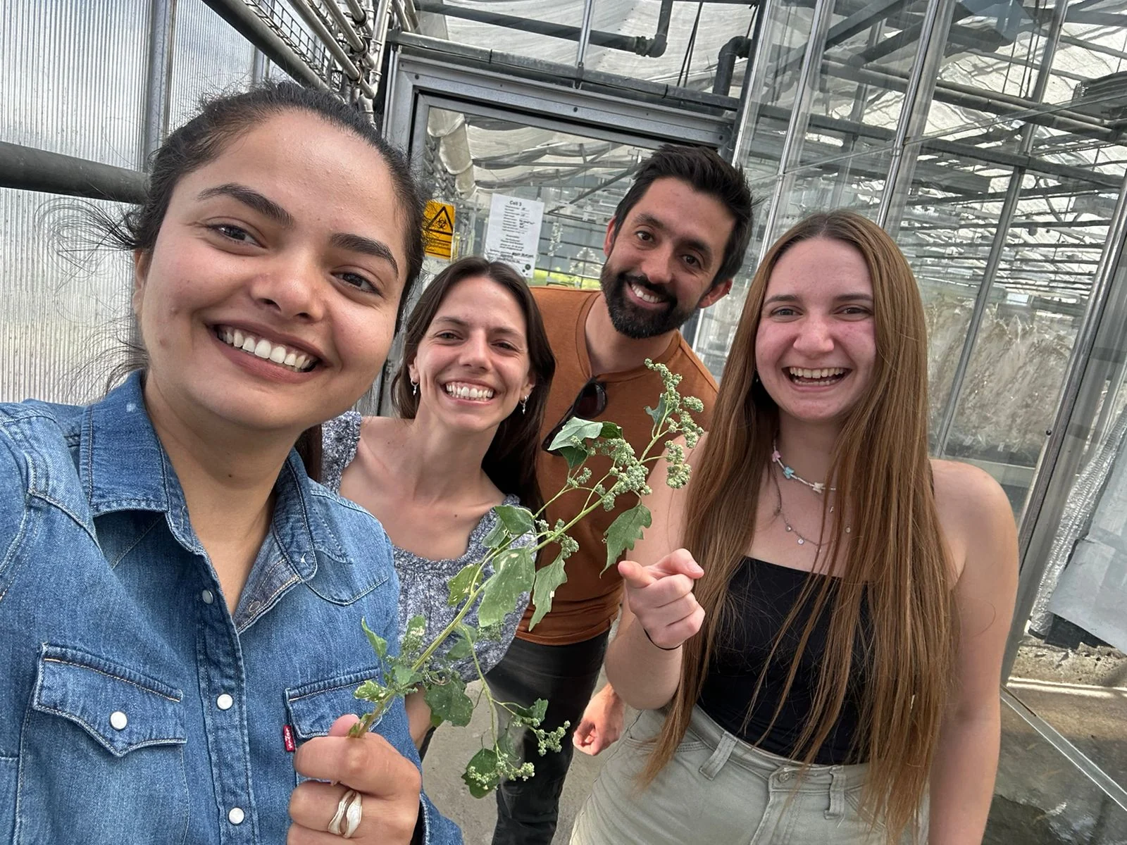 Four group members with a flowering plant in the greenhouse